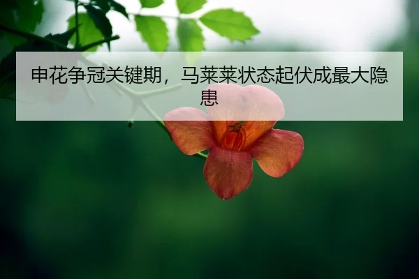 shen-hua-zheng-guan-guan-jian-qi-ma-lai-lai-zhuang-tai-qi-fu-cheng-zui-da-yin-huan-2-286.jpg