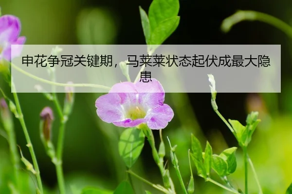 shen-hua-zheng-guan-guan-jian-qi-ma-lai-lai-zhuang-tai-qi-fu-cheng-zui-da-yin-huan-3-993.jpg