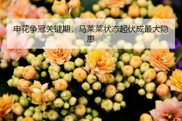 申花争冠关键期，马莱莱状态起伏成最大隐患