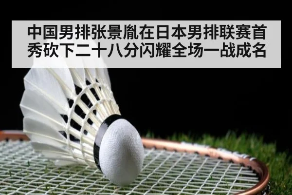 中国男排张景胤在日本男排联赛首秀砍下二十八分闪耀全场一战成名