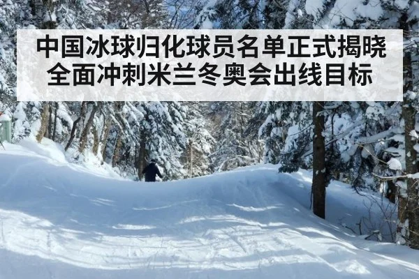 中国冰球归化球员名单正式揭晓 全面冲刺米兰冬奥会出线目标