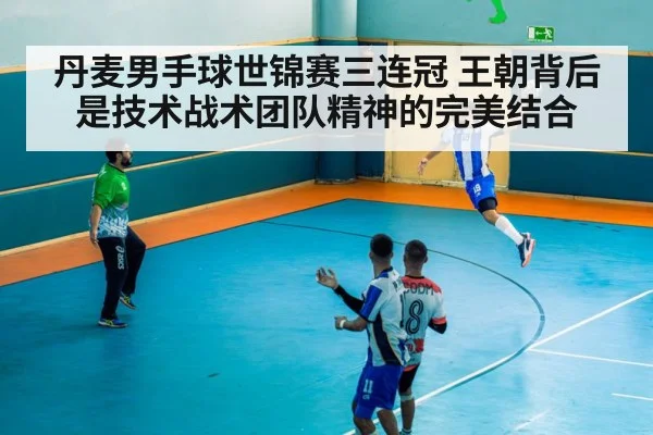 丹麦男手球世锦赛三连冠 王朝背后是技术战术团队精神的完美结合